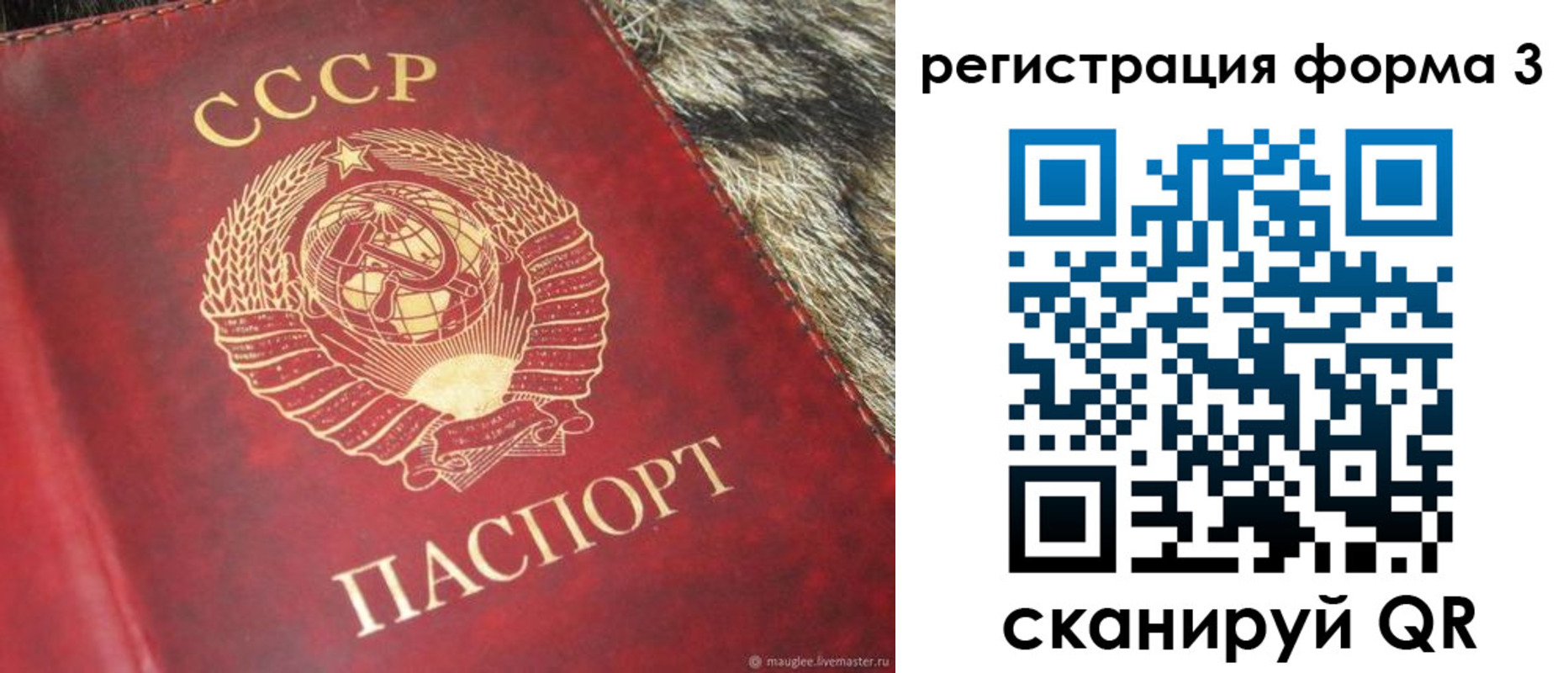 прописка регистрация в Мензелинске